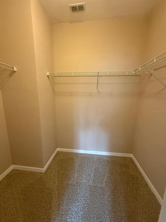 Building Photo - 8205 Serenity Spring Dr