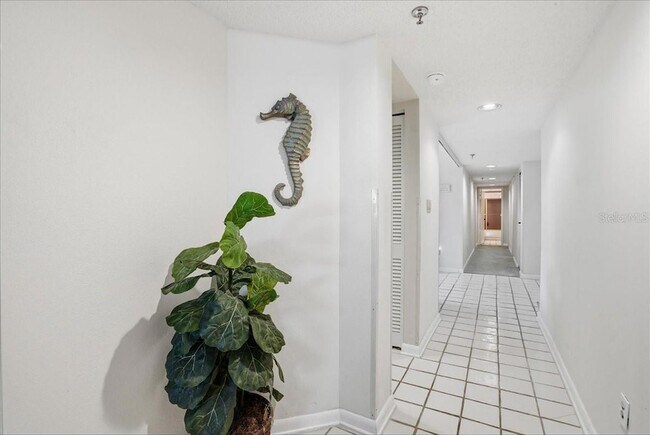 Building Photo - 5611 Gulf of Mexico Dr