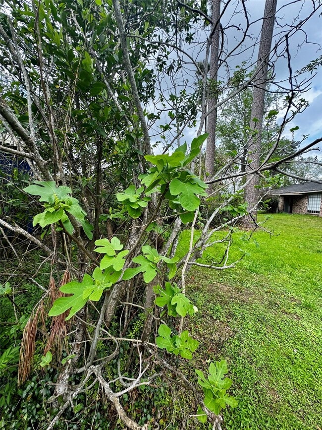 Building Photo - 24231 Shellbrook Dr