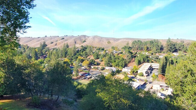 Building Photo - Spacious 2 Bedroom, 1 Bathroom Moraga Condo