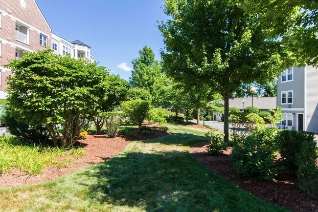 Building Photo - 318 Rindge Ave