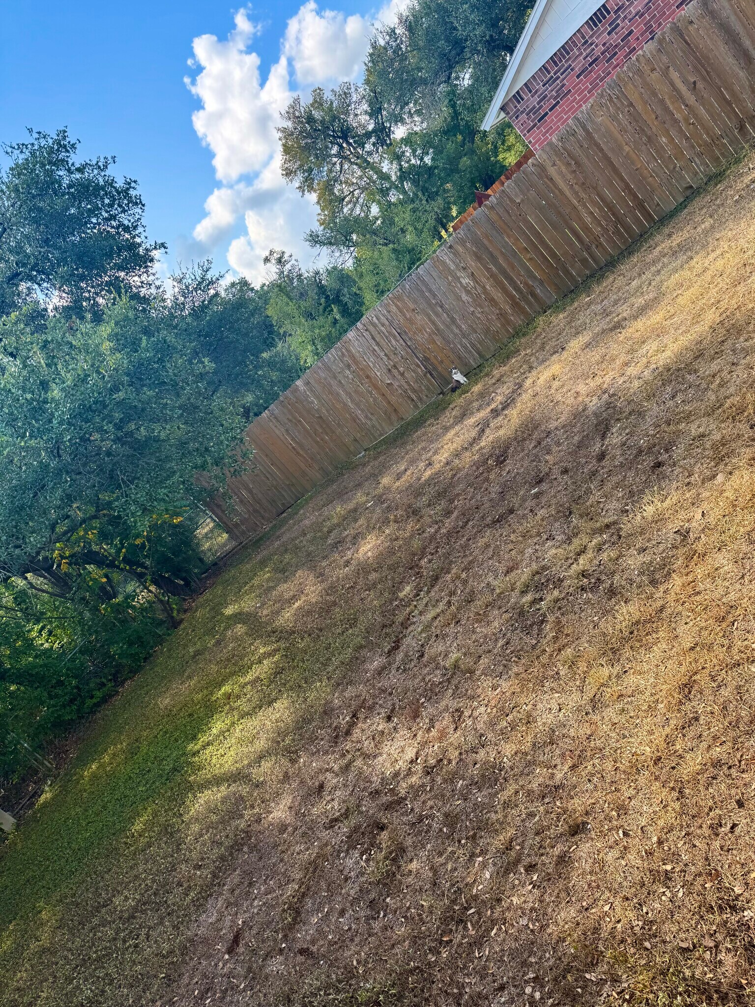 Building Photo - 6101 Parkwood Dr