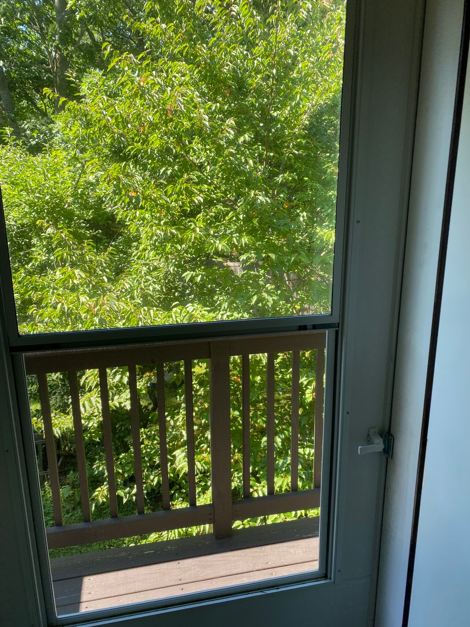 Building Photo - 84 Guinea Rd