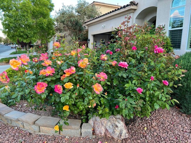 Building Photo - Stunning single-story home in picturesque community!