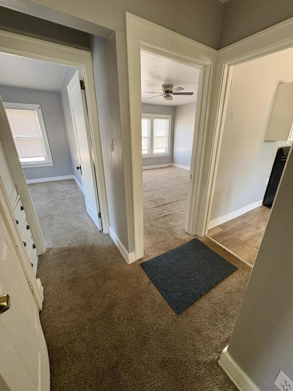 Building Photo - 16 N Richview Ave