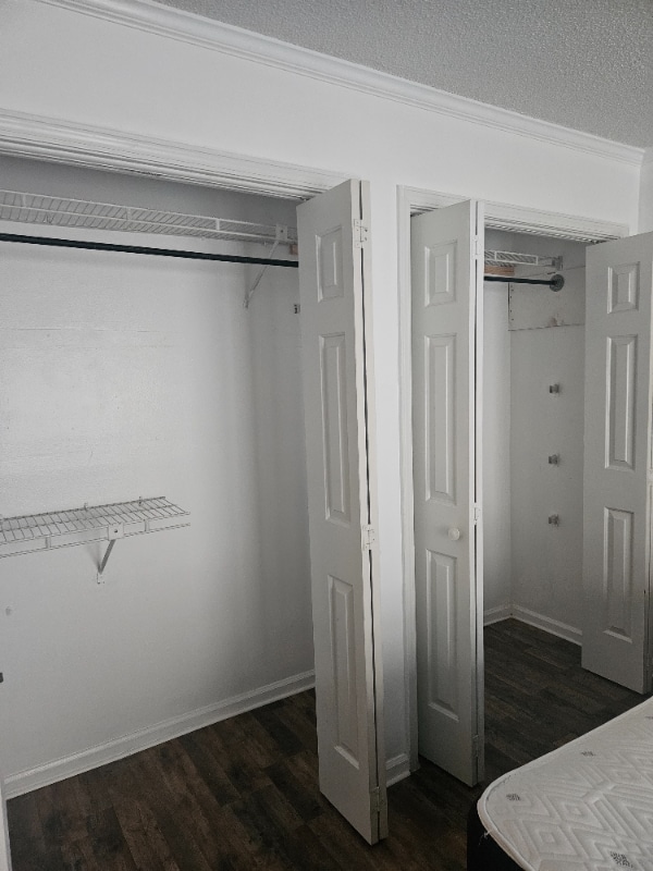 Building Photo - 536 Shadow Moss Dr