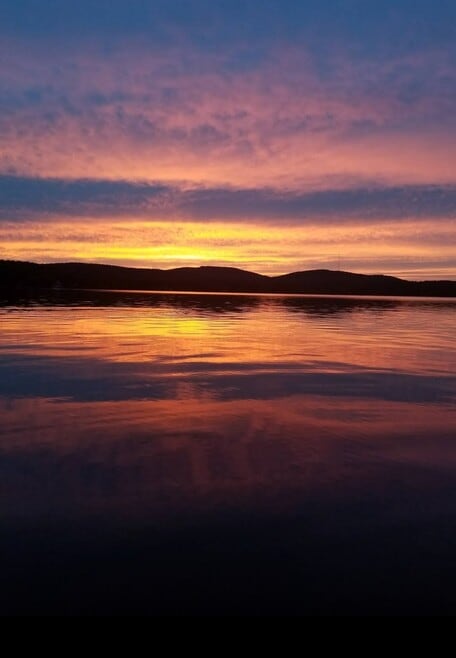 Building Photo - 55 Merlin Rd