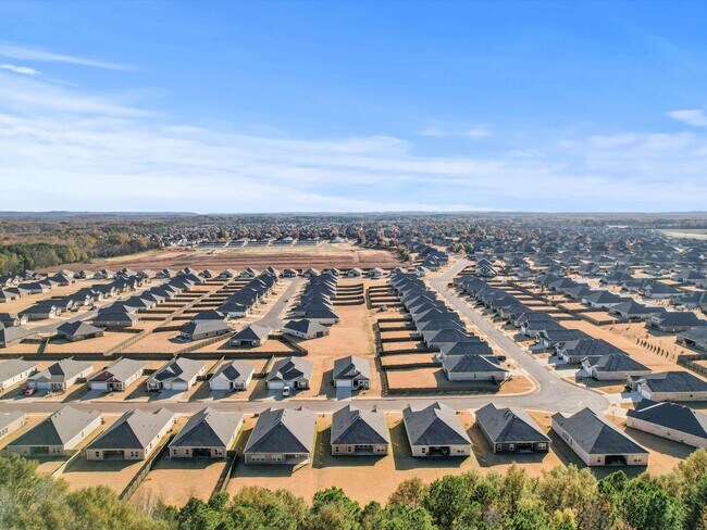 Building Photo - Spacious 4-Bed, 3-Bath New Home with 3-Car...