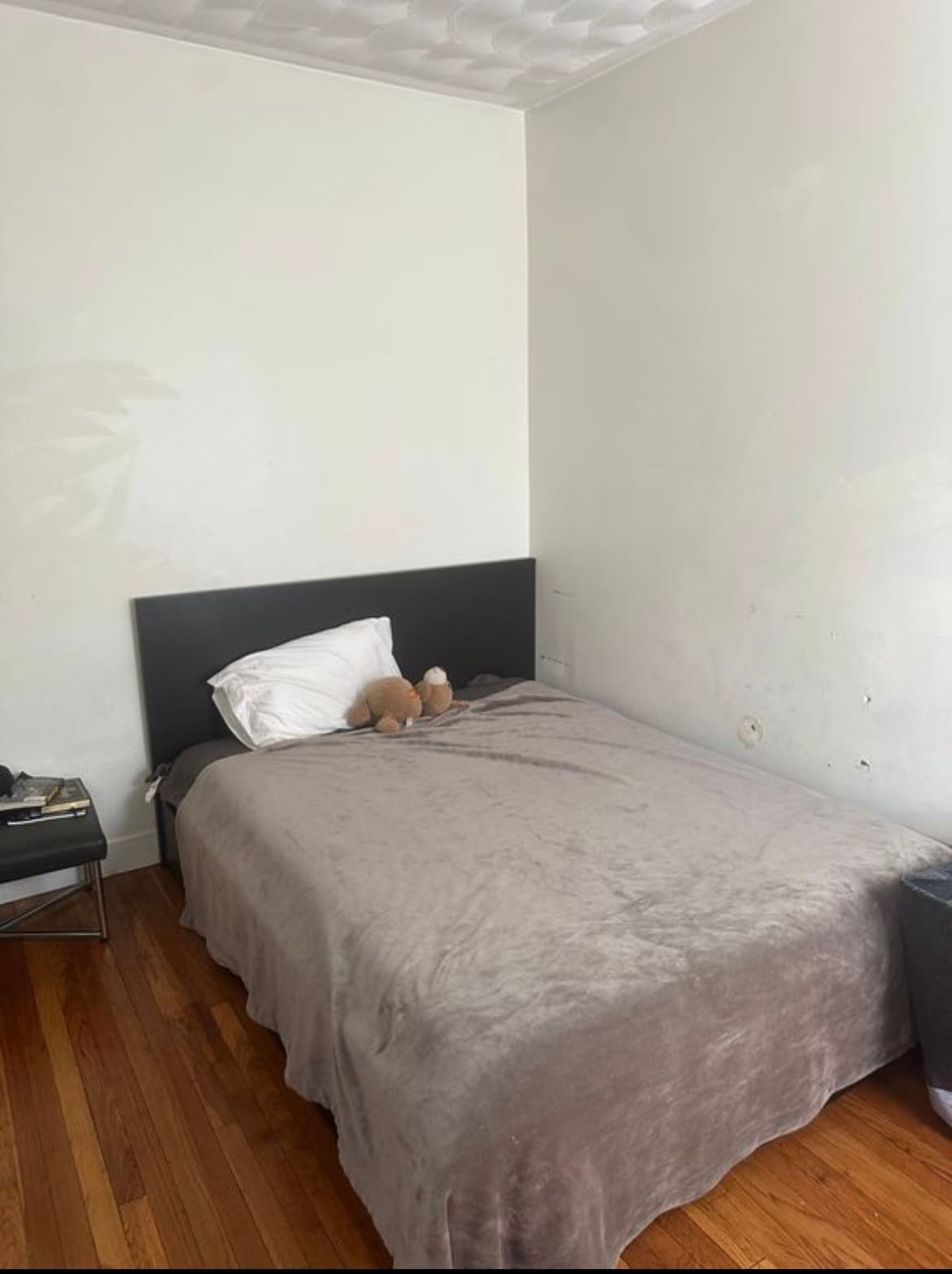 Building Photo - 18 Wentworth Ter