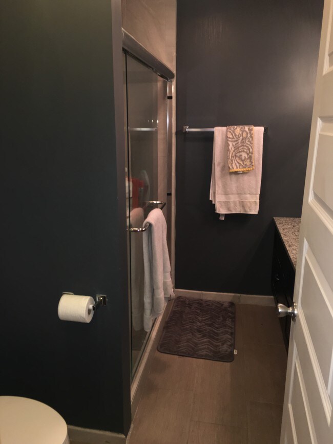 Downstairs Bathroom - 2334 W Polk St