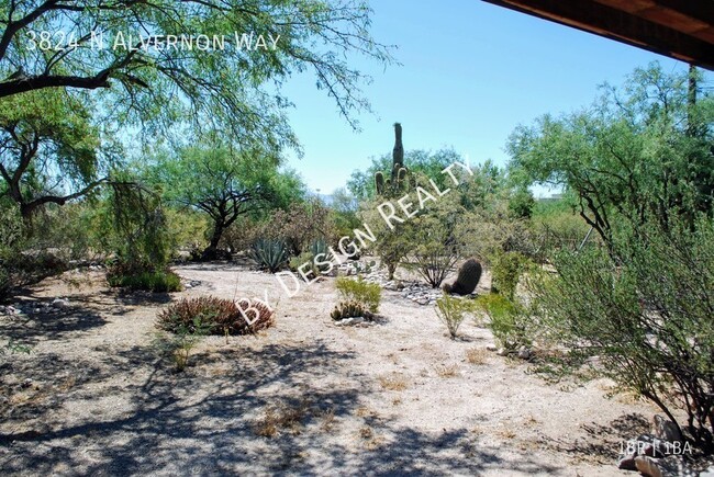 Building Photo - Catalina Foothills 1 Bed 1 Bath Stand Alon...