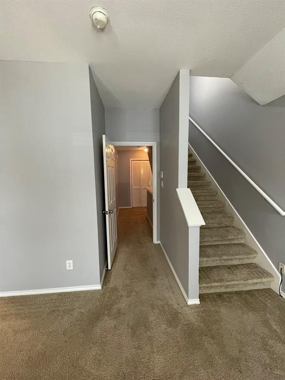 Building Photo - 6906 Woodridge Row Dr