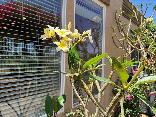 Building Photo - 77184 California Dr