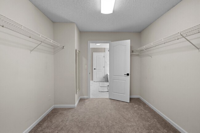 Building Photo - 4125 Palmetto Bay Dr