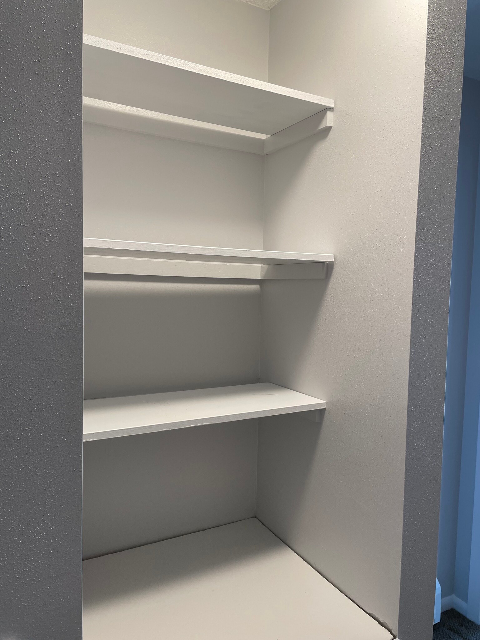 Shelving in the walk-in closet - 1209 E 4th St