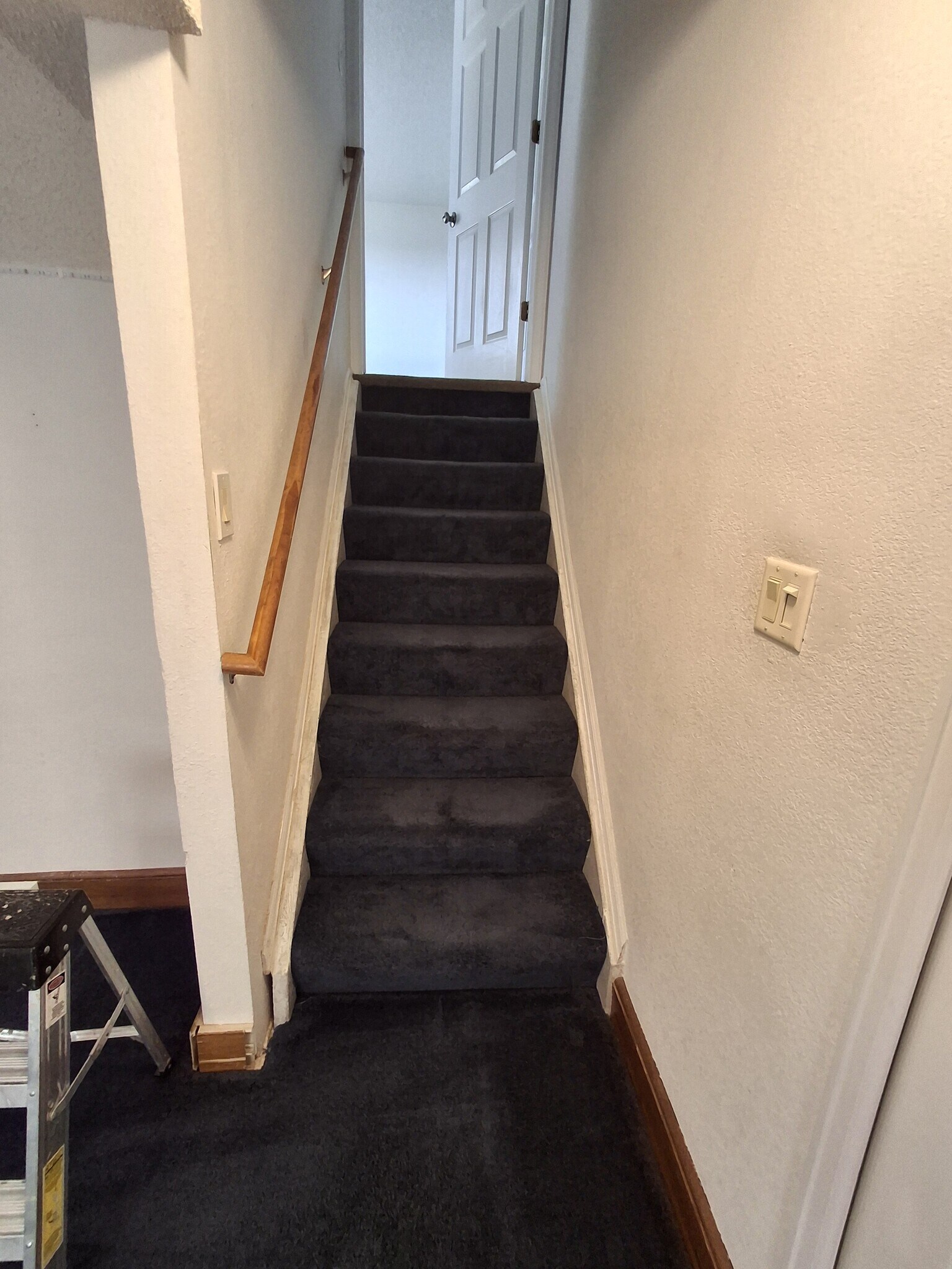 Basement Stairs - 2431 Cherry Cir