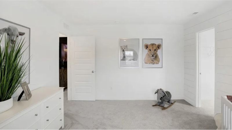 Building Photo - 3719 Pinnacle Dr