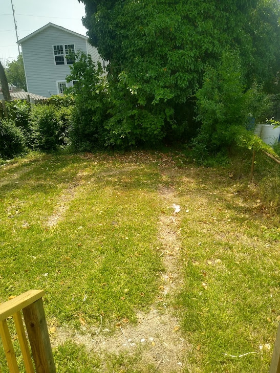 Building Photo - 907 Rugby St