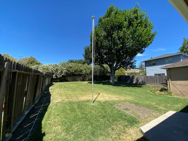 Building Photo - Charming 3 Bedroom Home in Quiet Tree-Line...