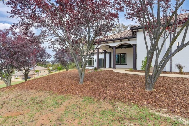 Building Photo - 12859 Austin Forest Cir