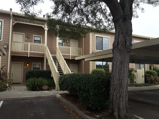 Building Photo - Newly Remodeled Condo Unit - Pet Friendly