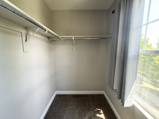 Building Photo - 4518 Cave Run Ln