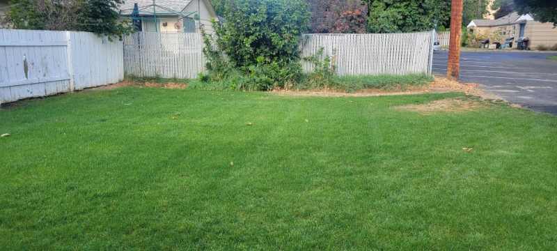 Building Photo - 922 Gellatly St