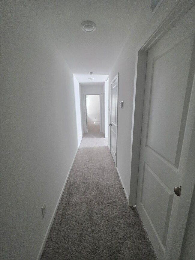 Building Photo - New Lennar Home – 4BR, 3BA | Energy-Effici...