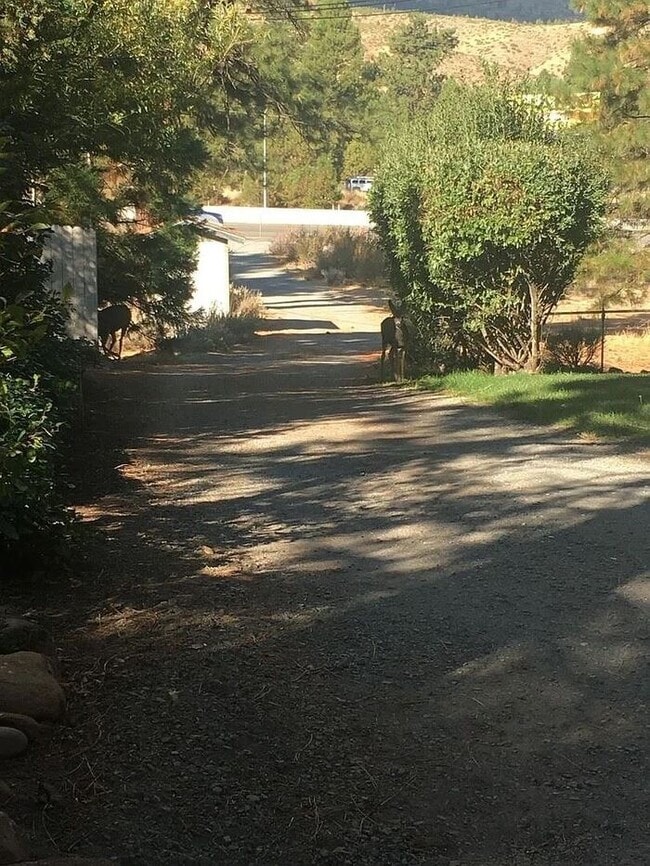 Building Photo - Charming Riverfront Cottage in Verdi – One...