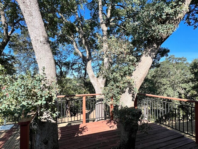 Building Photo - 4425 Las Encinitas Dr