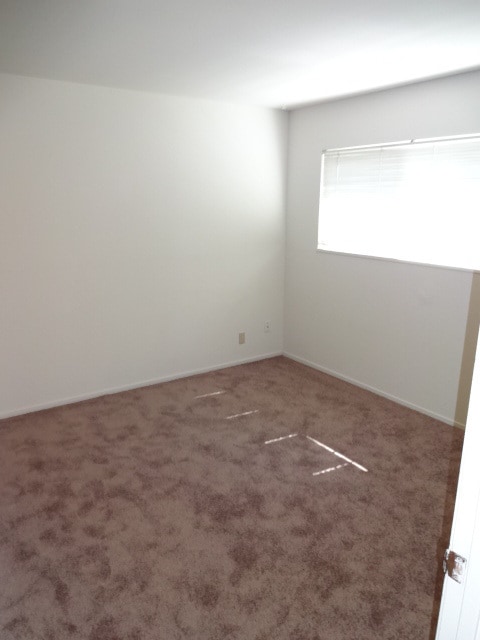 Building Photo - SINGLE STORY, 4 BED, 2 BA, LARGE LOT, ARDEN ARCADE AREA