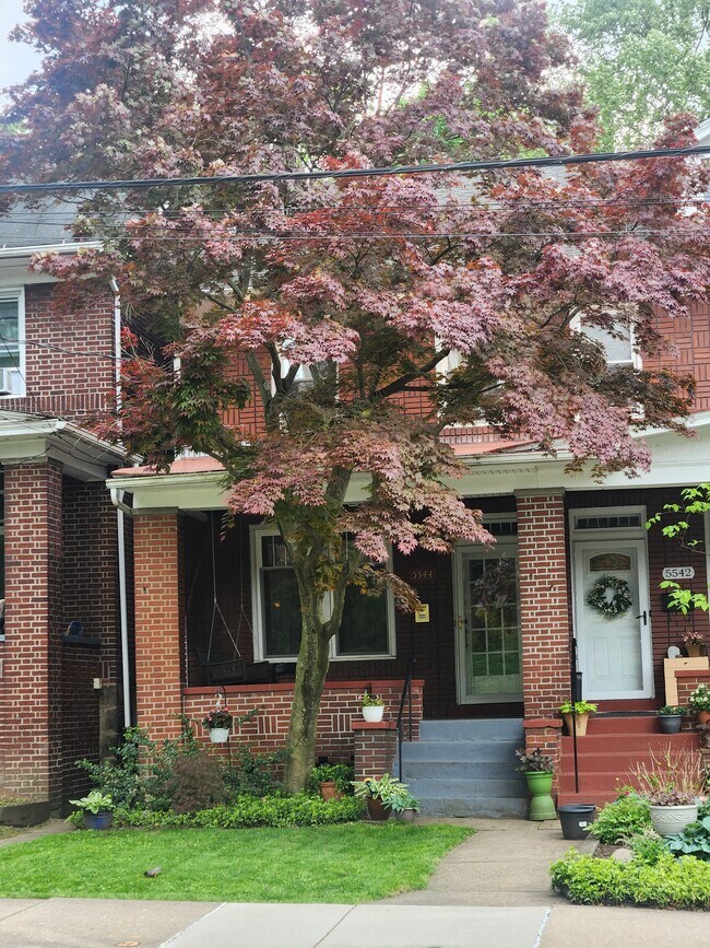 Primary Photo - 5544 Wilkins Ave