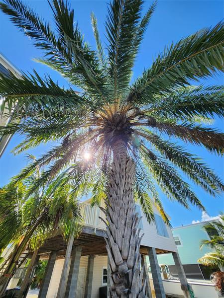 Building Photo - 31547 Ave D