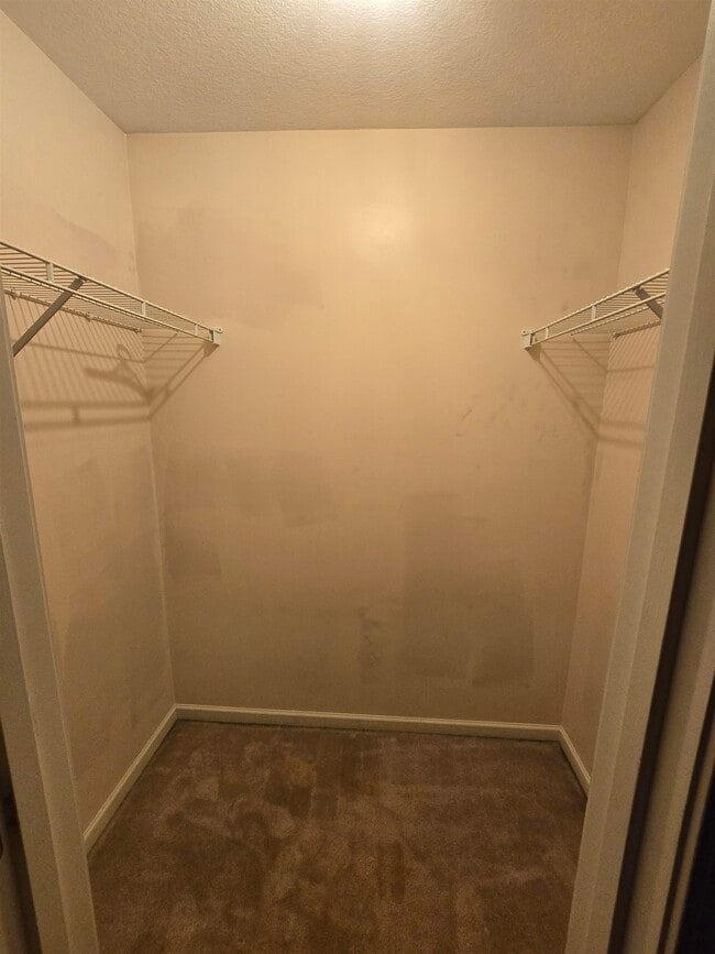 Building Photo - 235 Spring Forest Ct