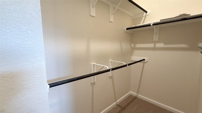 Building Photo - 5089 Andorra Bend Ln