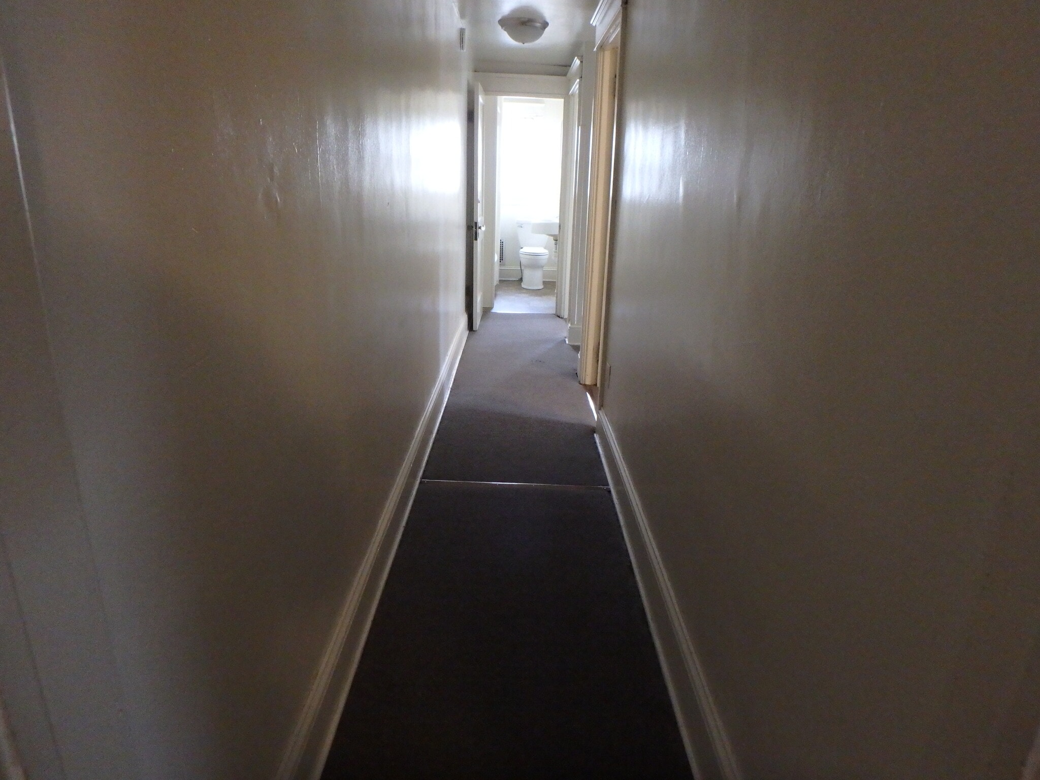 Building Photo - 117 N Montour St