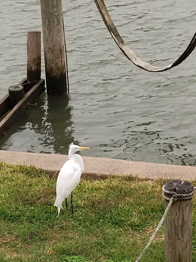 Building Photo - 4315 Genoa Rd