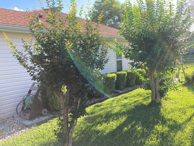 Building Photo - Ocala Palms 55+  2/2 Home