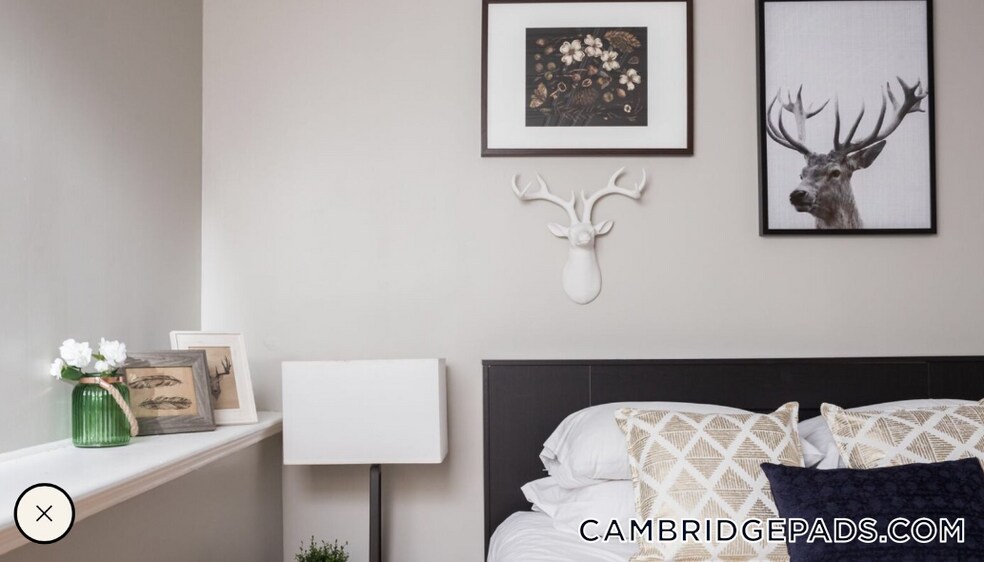 Primary Photo - 7 Story St