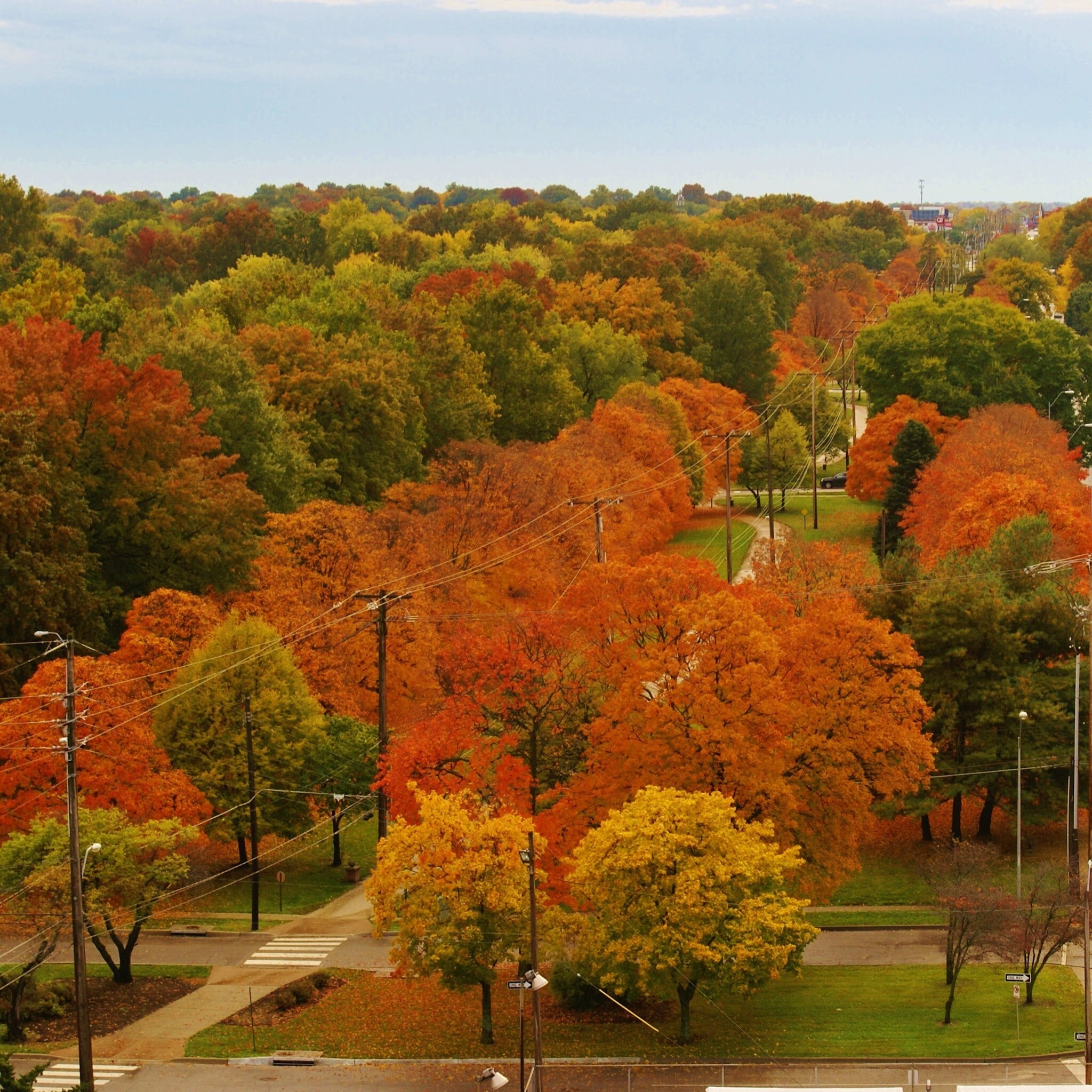 south fall colors - 333 W Meyer Blvd