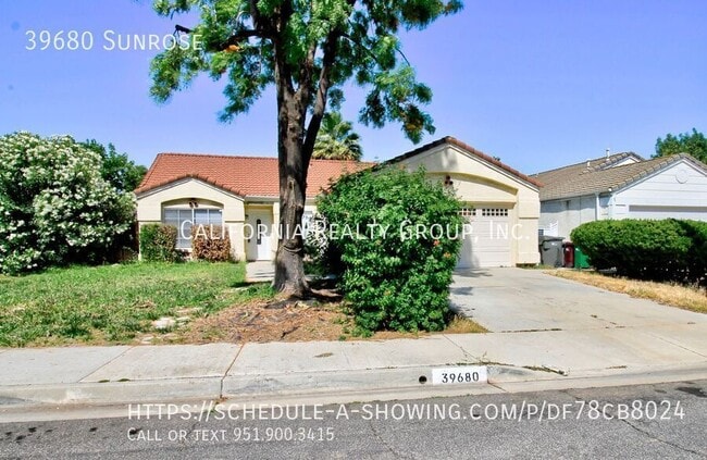 Primary Photo - 39680 Sunrose-