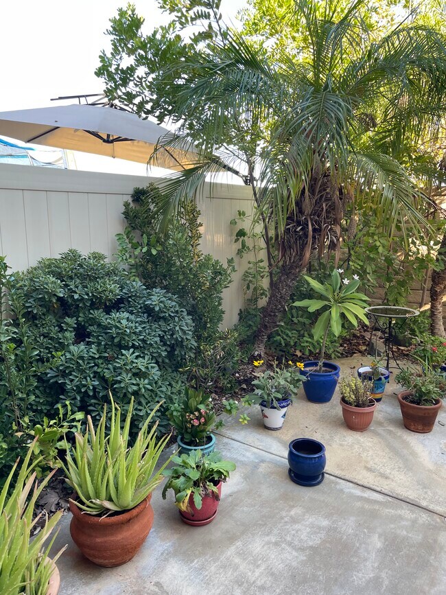 Building Photo - 28064 Dickason Dr