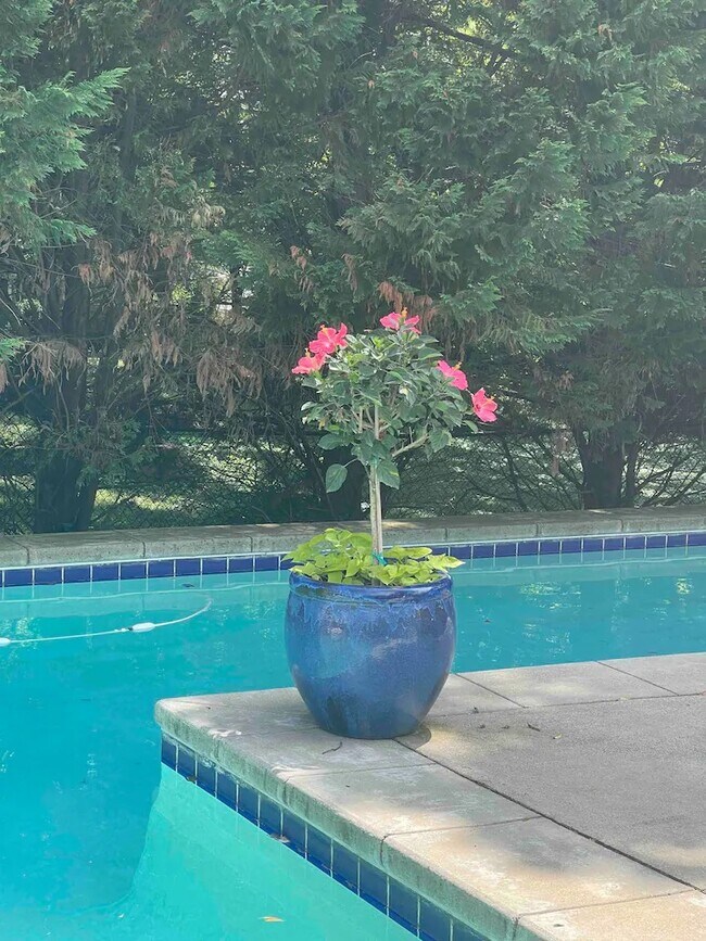 Building Photo - 236 Howard St NE