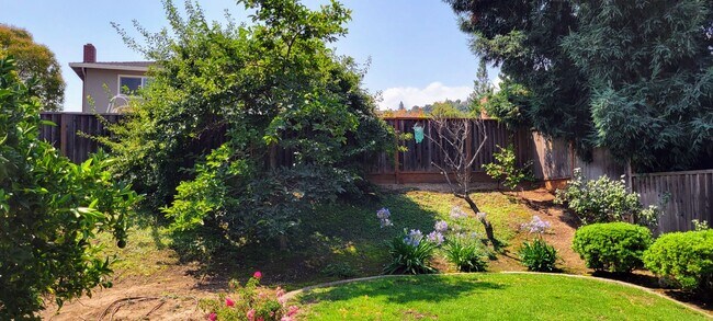 Building Photo - Large Landscaped Backyard! Fruit Trees- Fresh Interior Paint- Fresh Exterior paint- New Roof Comi...