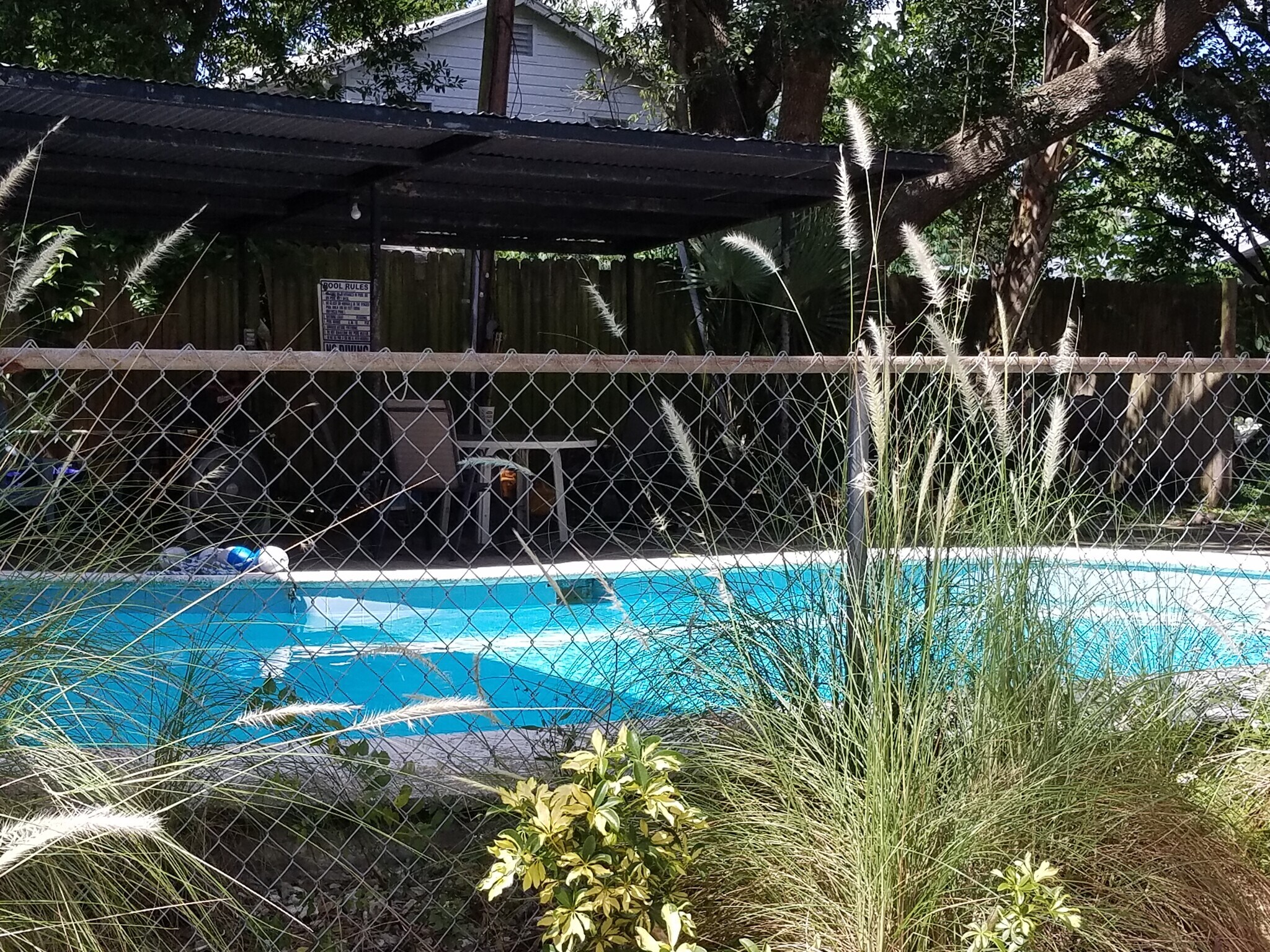 Pool - 916 E Lime St