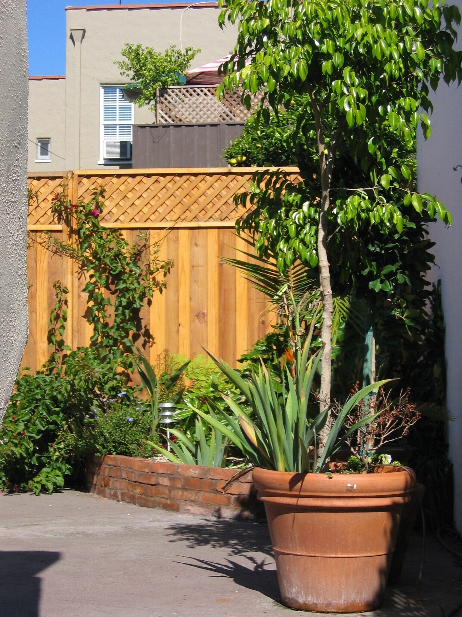 Building Photo - 8523 Pickford St