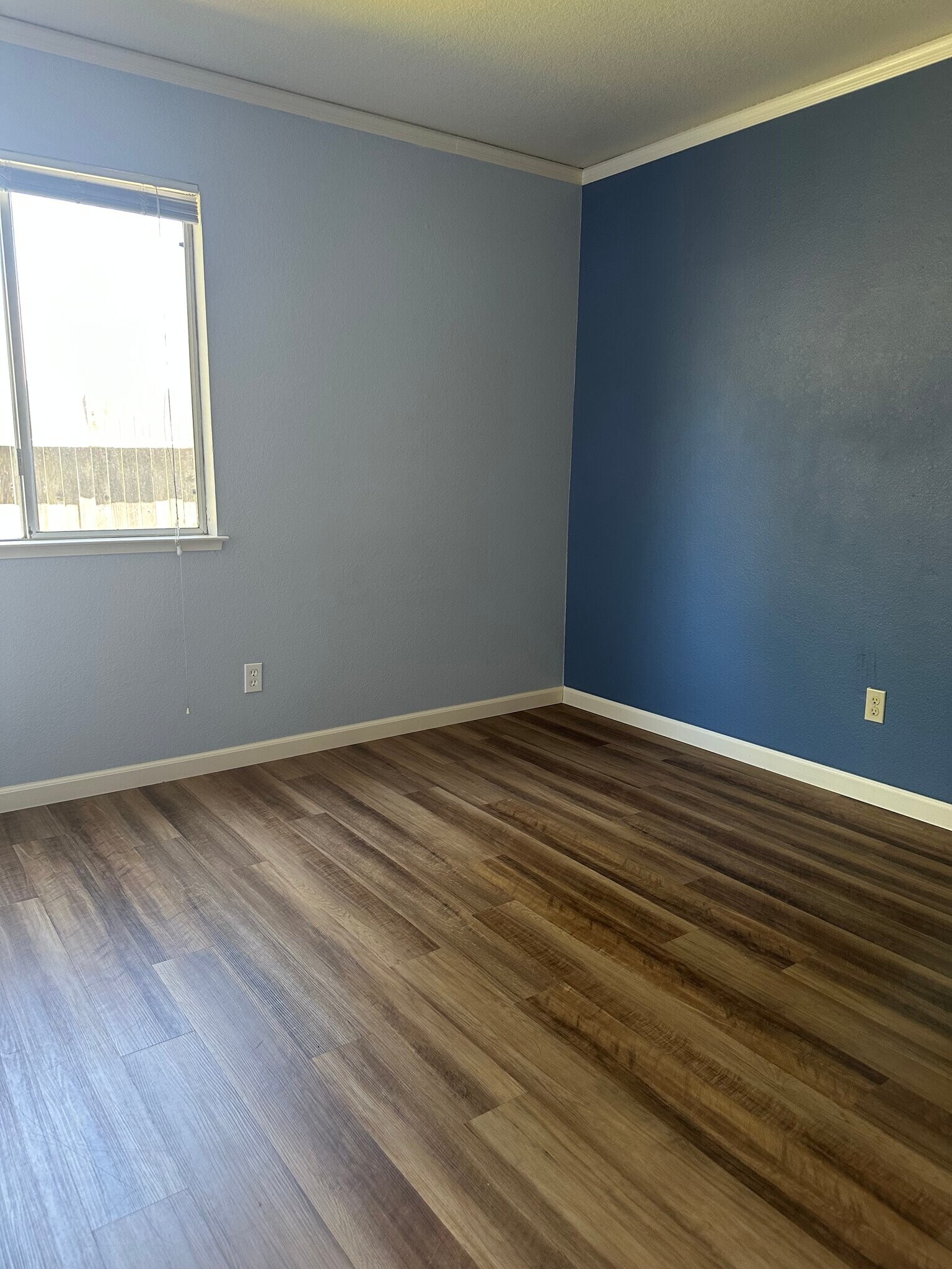 Building Photo - 643 Lunardi Way