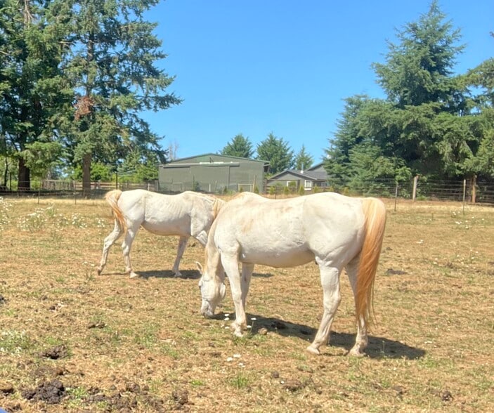 Building Photo - 16670 S Carus Rd