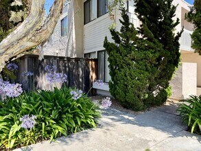Building Photo - Large Lower Unit w/ Fenced Backyard!