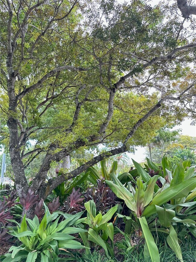 Building Photo - 325 Fernwood Rd